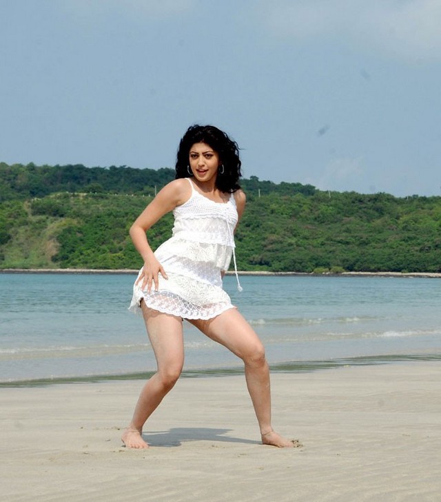 Pranitha Subhash In Bikini Photos
