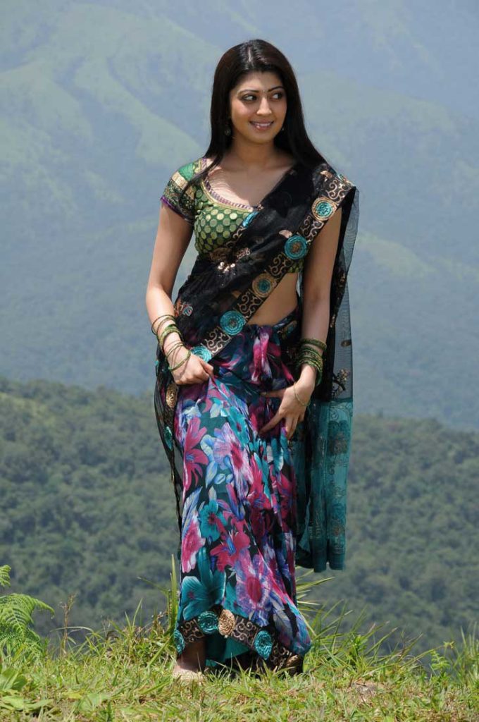 Pranitha Subhash In Saree Photos Gallery