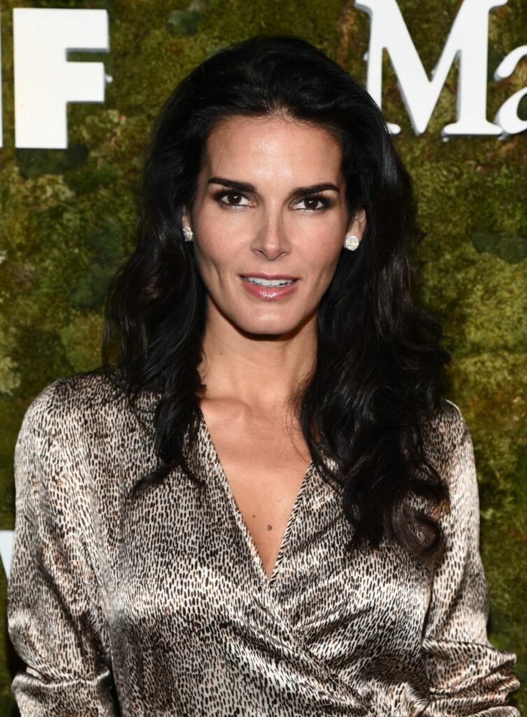 Angie Harmon Hot Images
